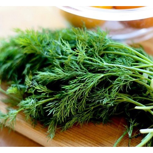 hạt giống Thì là Tứ Quý PD415