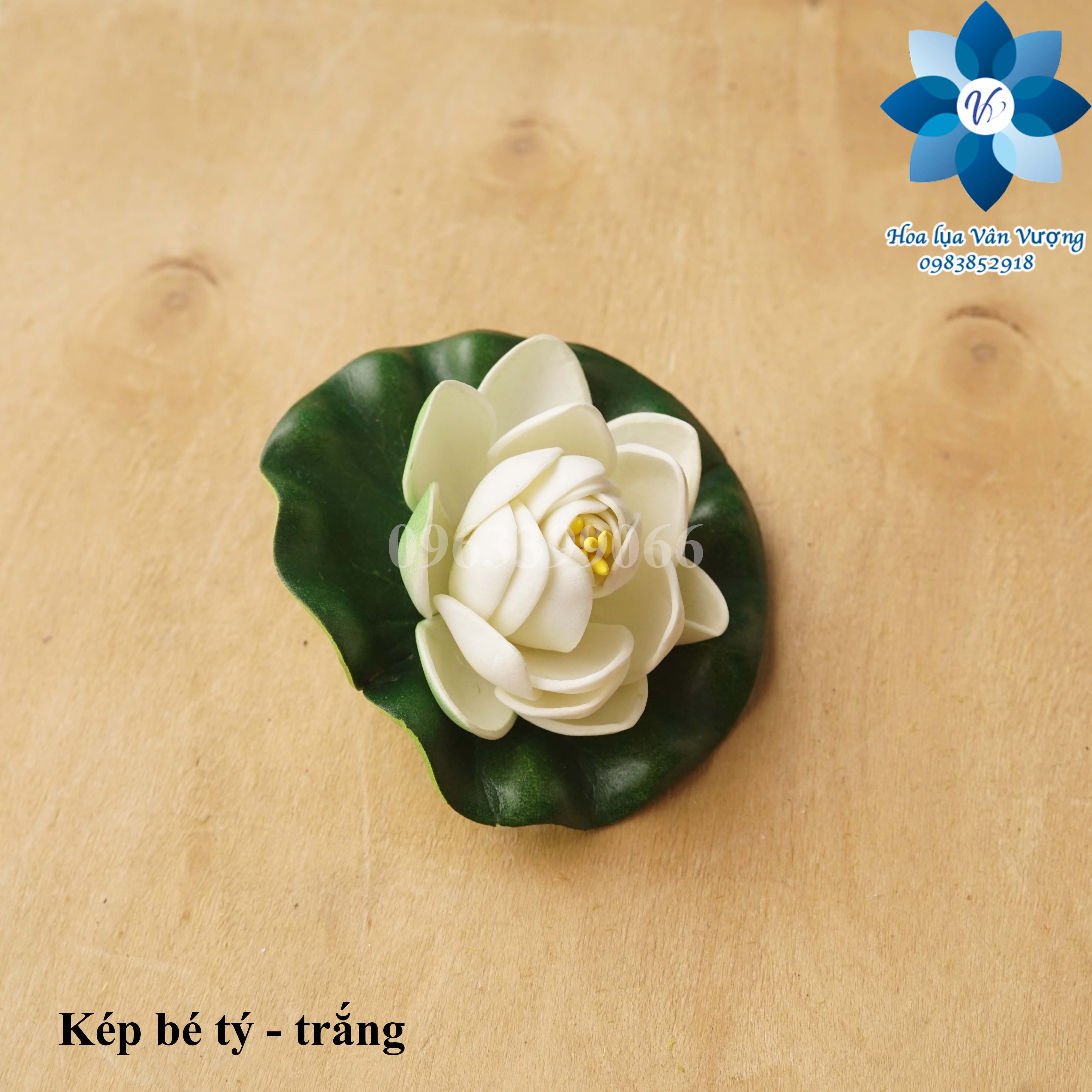 Hoa Giả, Hoa Sen Thả Nước 8cm