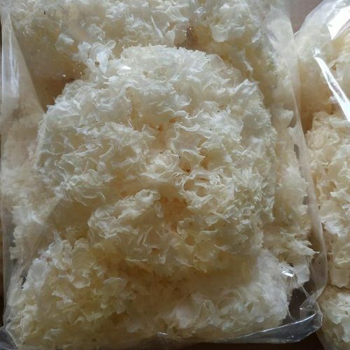 Ngân Nhĩ Nguyên Bông (Nấm Tuyết) 500G