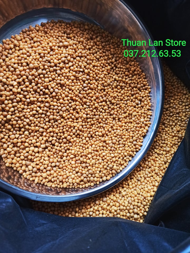 Phân Tan Chậm Hạt Vàng Mỹ 14-14-14 gói 100g