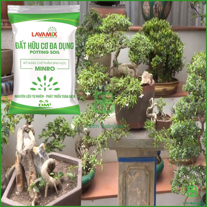 Đất Sạch Trồng Rau Lavamix 6.5dm Đa Năng