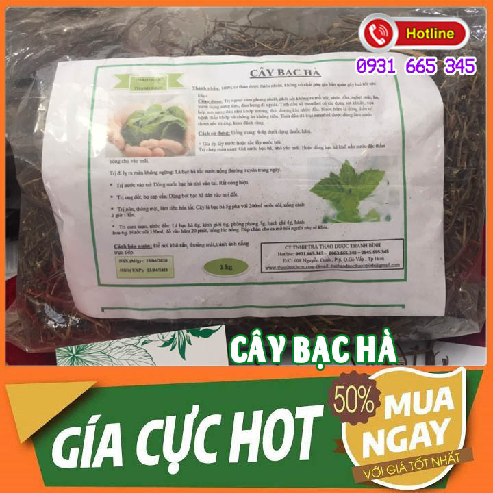Cây Bạc Hà Khô Loại Cao Cấp 500G - Thảo Dược Thanh Bình