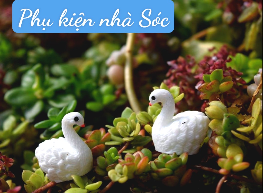 Thiên nga trắng mini trang trí tiểu cảnh dễ thương