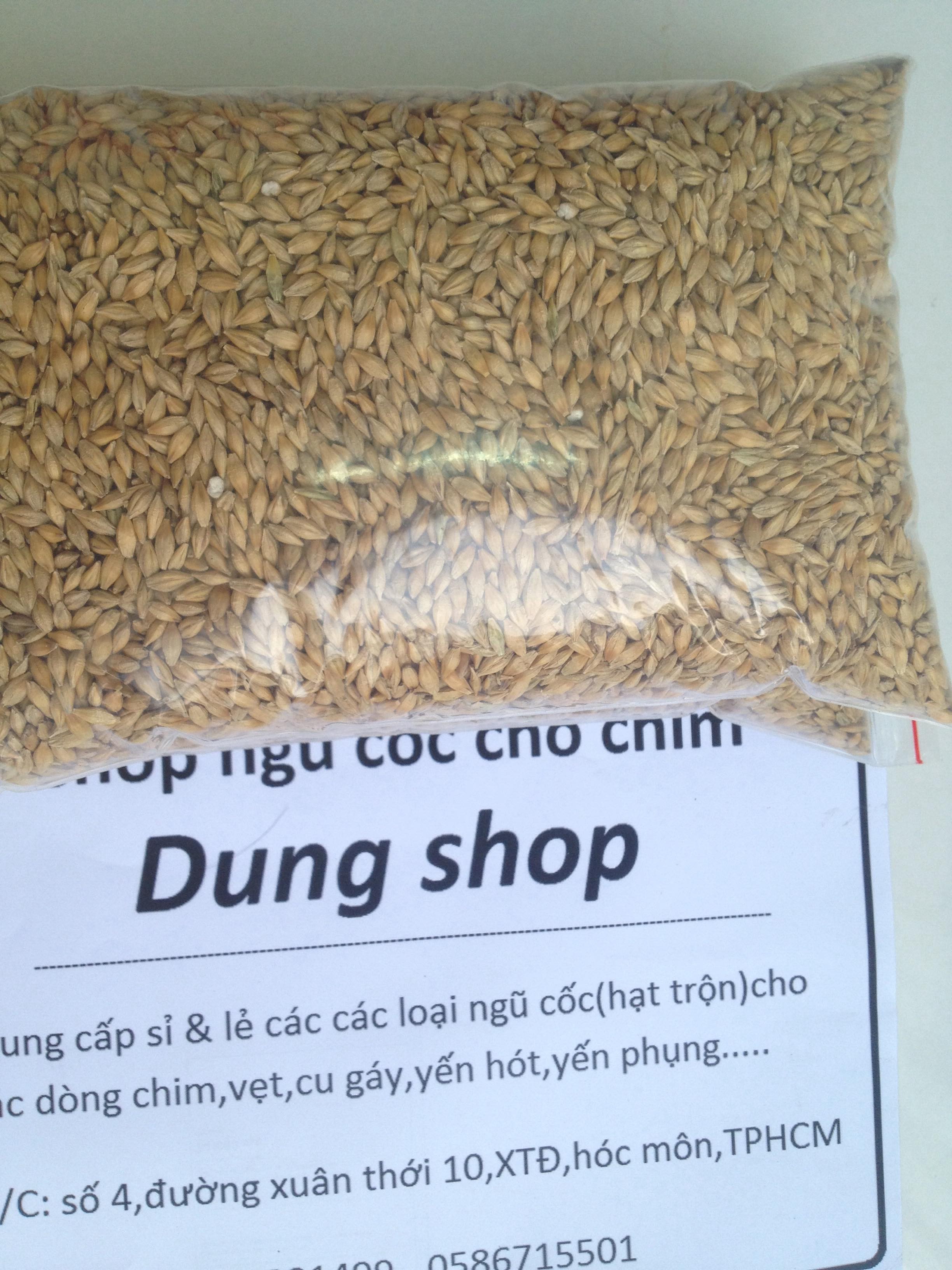 hạt lúa mạch đại mạch thức ăn cho chim vẹt bồ câu (1kg)(canada)