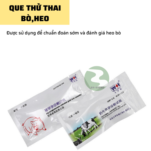 Que thử thai cho heo chính xác 95%
