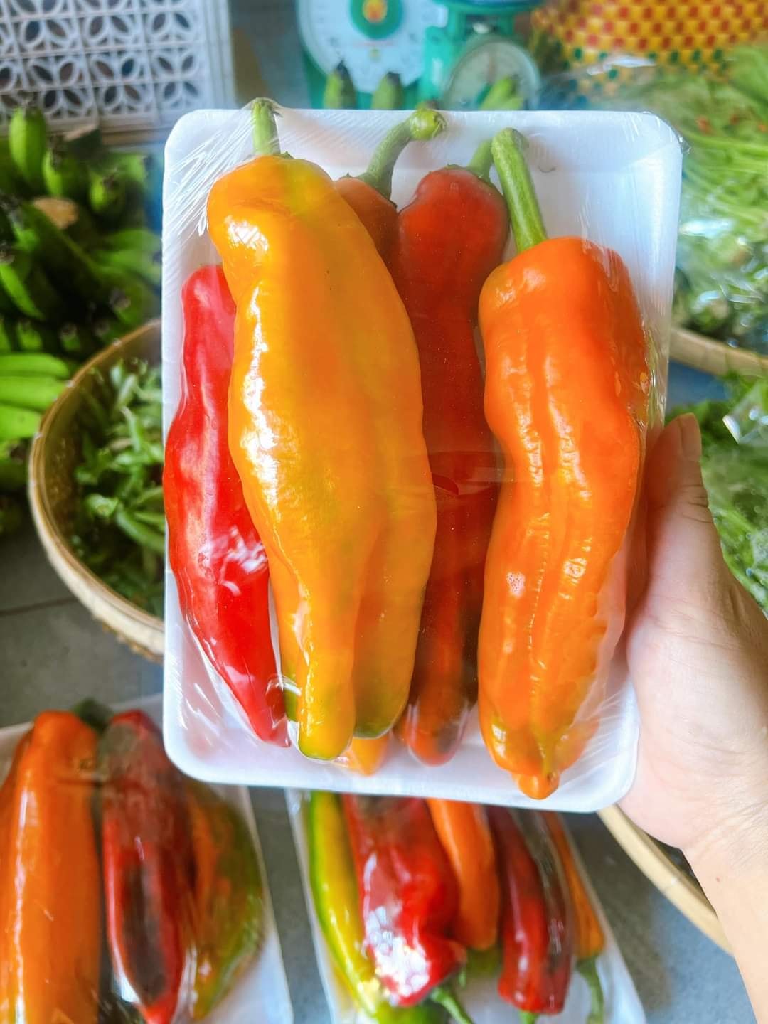 Ớt trái cây ngọt Sweet Palemo