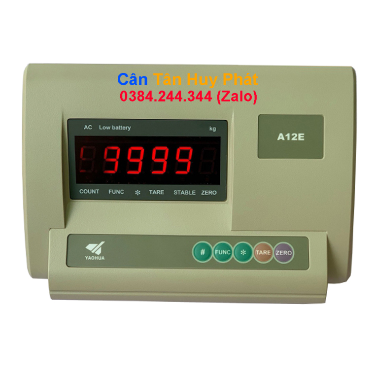 Cân Ghế Điện Tử 500Kg A12E