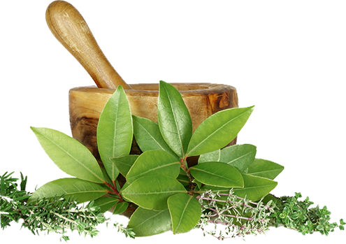 Cao Thìa Canh Thảo Dược Đặc Sản Sapa (Lọ 200gram) - Đặc Sản27