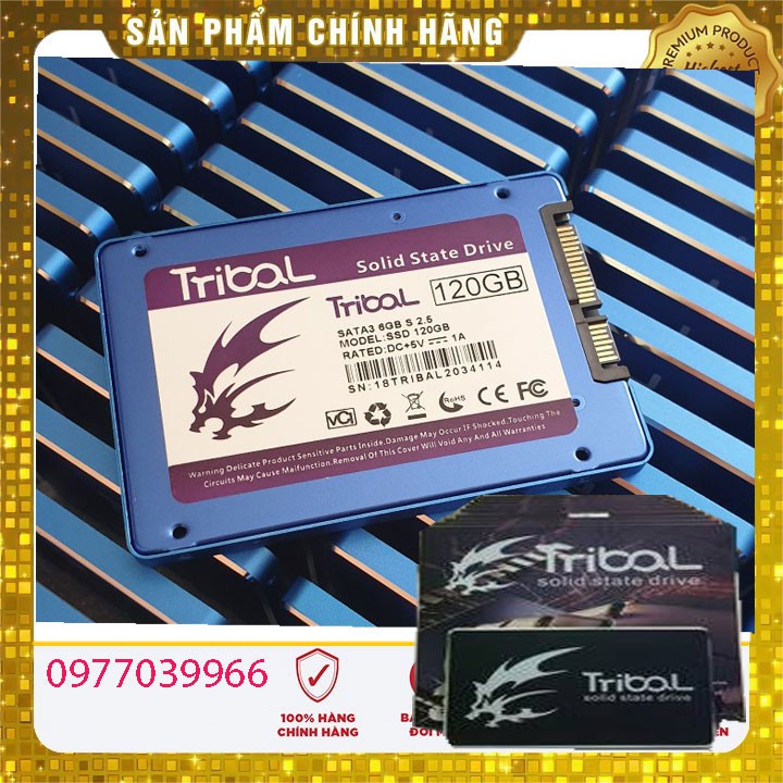 Ổ Cứng Ssd 240Gb Và 120Gb Tribal