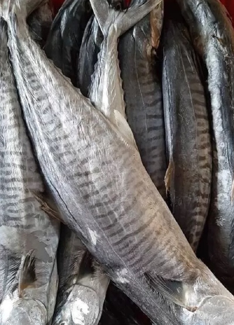 Cá thu muối dùi- mắm cá thu nguyên con