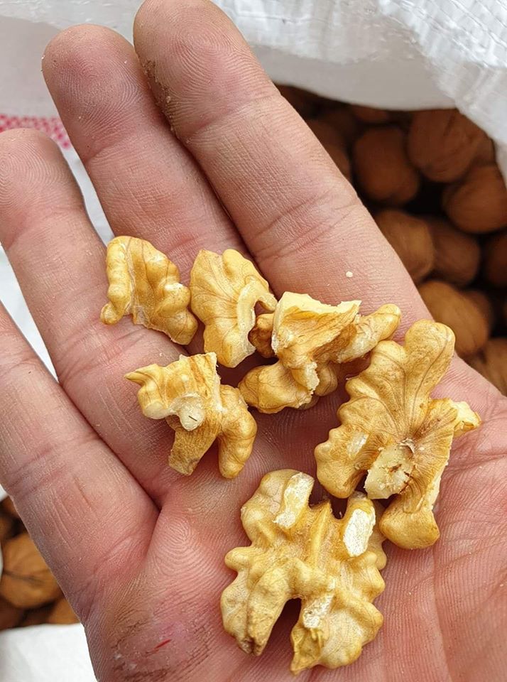 QUẢ ÓC CHÓ CAO CẤP LOẠI I- 500gr