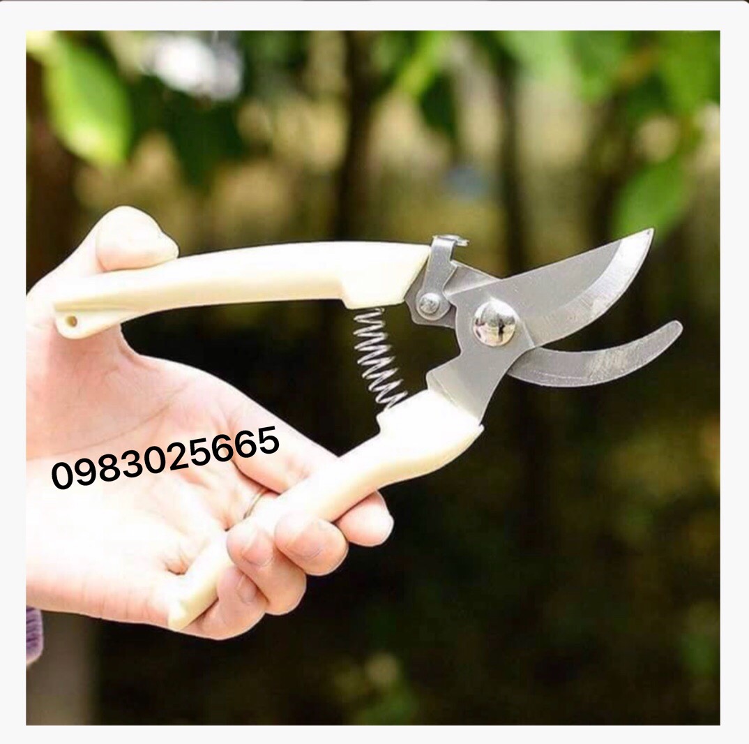 Kéo cắt cành cán trắng mỏ cong