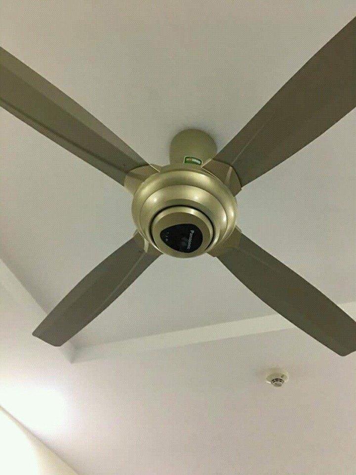 [HCM]QUẠT TRẦN PANASONIC F-56MZG-GO