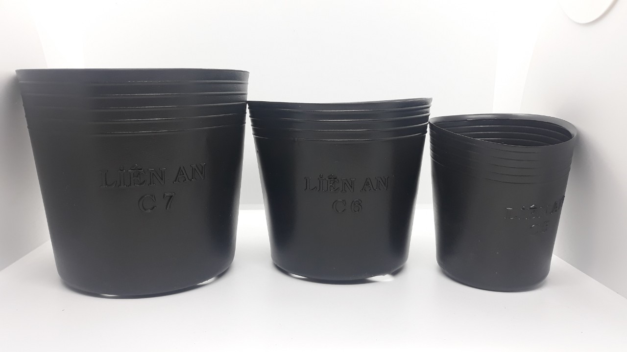 Combo 100c chậu nhựa mềm màu đen ươm cây C2 ( KT 6.5x6)
