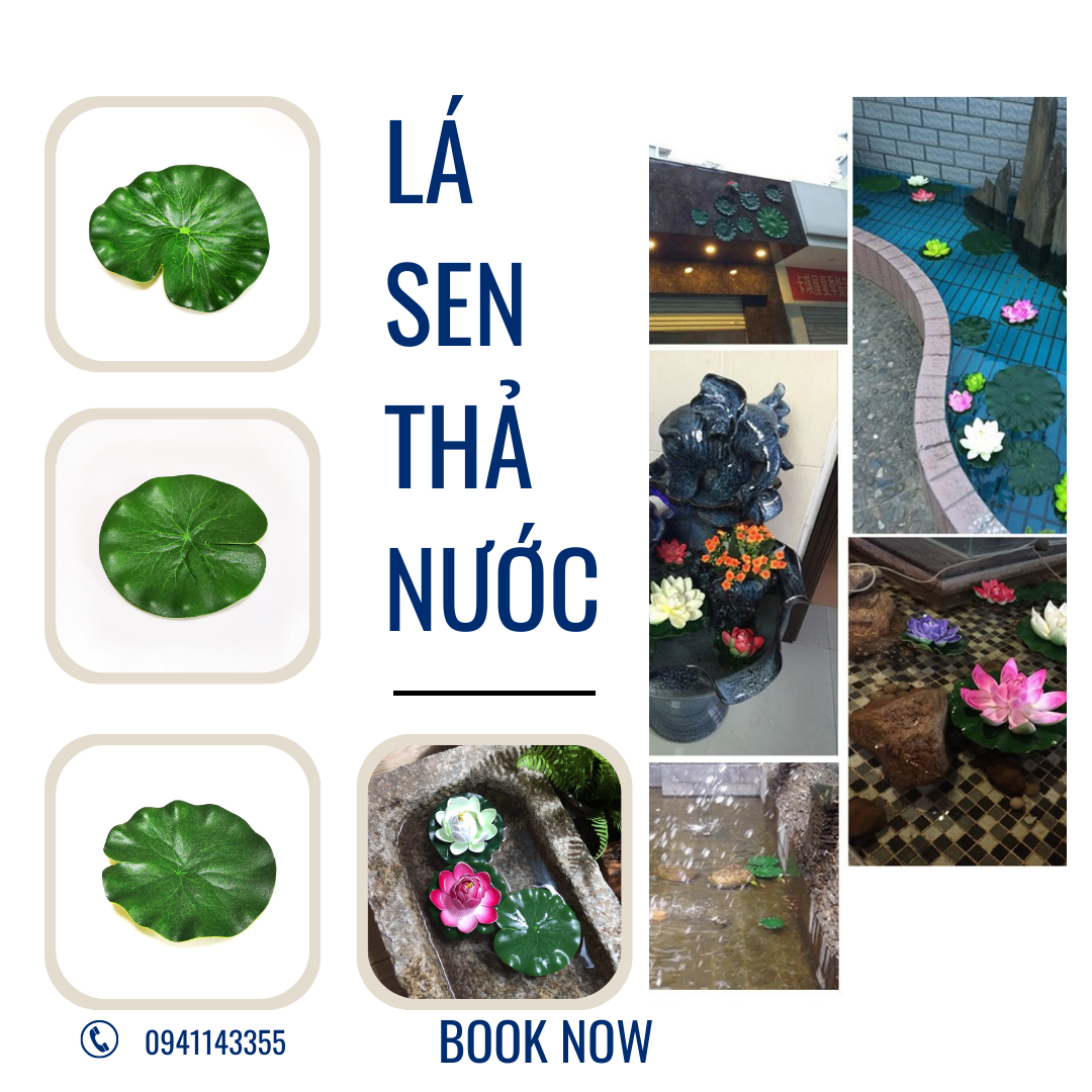 HCM Lá sen thả nước trang trí hồ cá tiểu cảnh