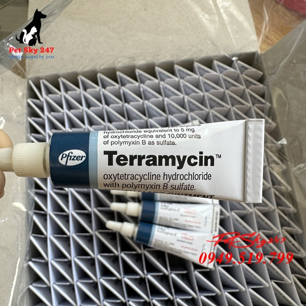 Thuốc Terramycin Trị Nhễm Trùng Mắt Cho Chó Mèo 3,5g