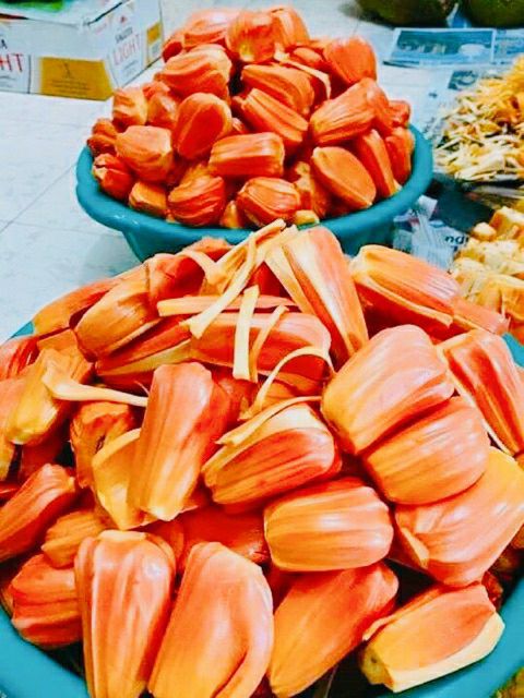 Cây giống Mít Ruột Đỏ Sơ Đỏ Malaysia