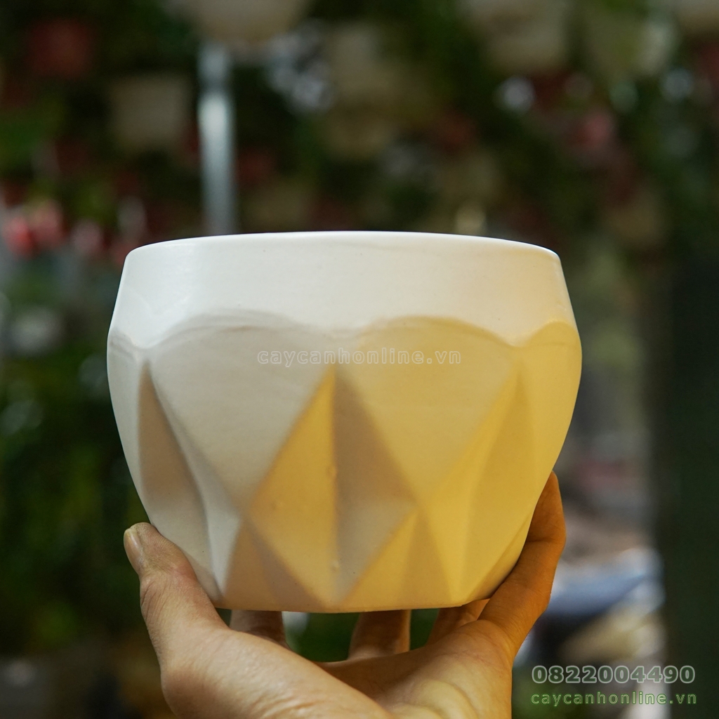 Chậu gốm sứ trồng cây đáy xoắn