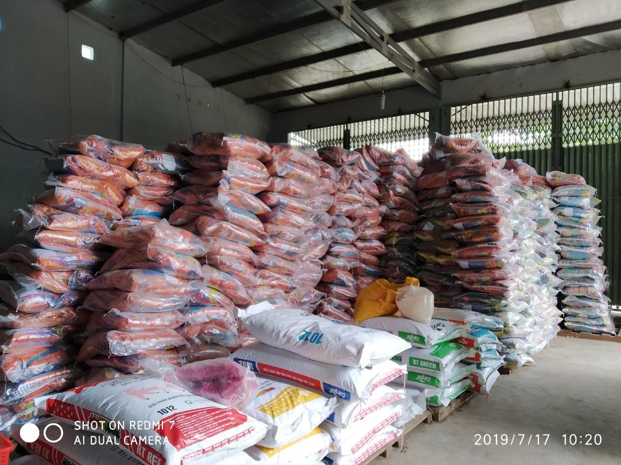 Cát vệ sinh cho mèo Genyo phân phối - McKelly 5L