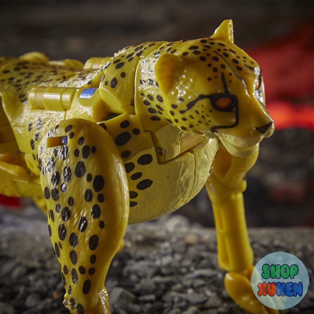 Robot Biến Hình CHEETOR Kingdom Transformers Generations War for Cybertron Deluxe WFC-K4