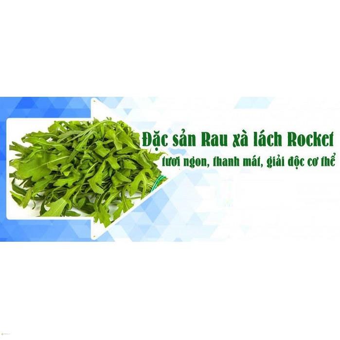HẠT GIỐNG XÀ LÁCH ROCKET - GÓI 2 GRAM