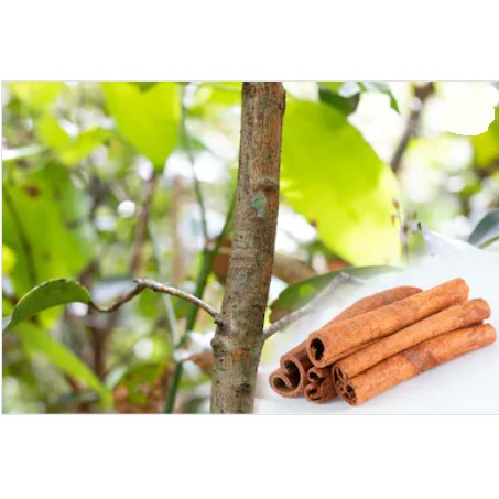 100gr Quế thanh khô_Trà quế thơm đã cạo sạch vỏ