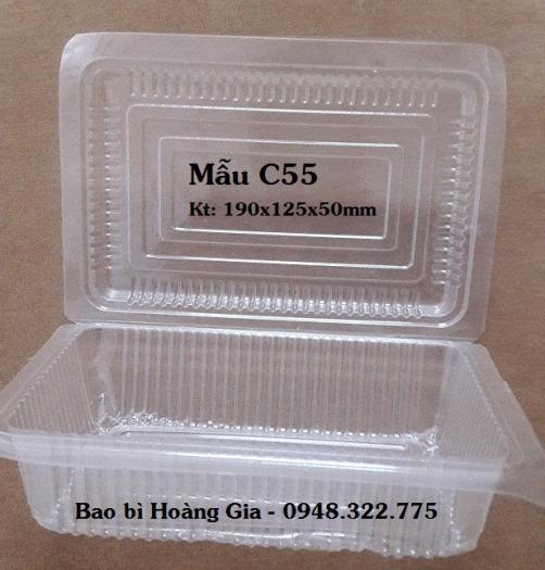 Sét 100 hộp nhựa pet trong 5 lạng - hộp c55 or ta03