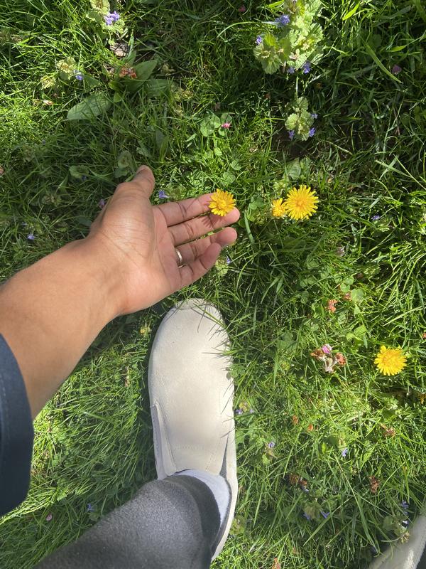 Giày đa năng  Merrell  jungle moc