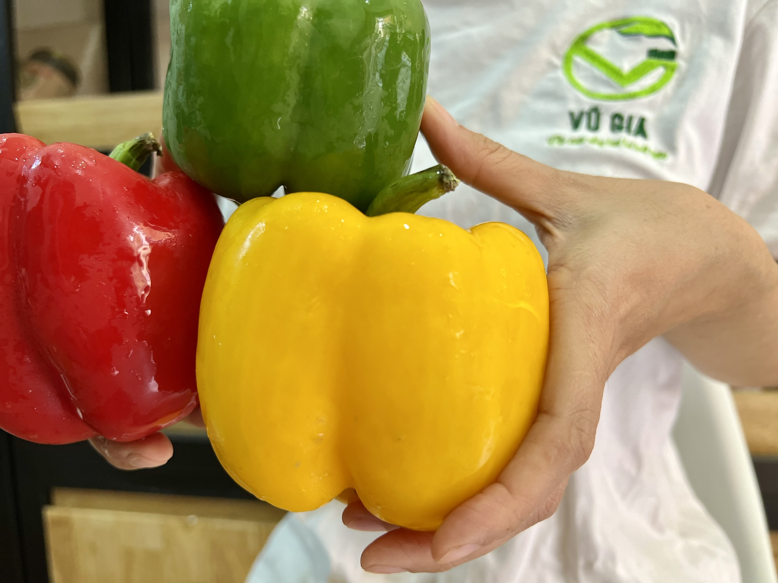 VG FARM Ớt Chuông Đà Lạt (500G/1KG)