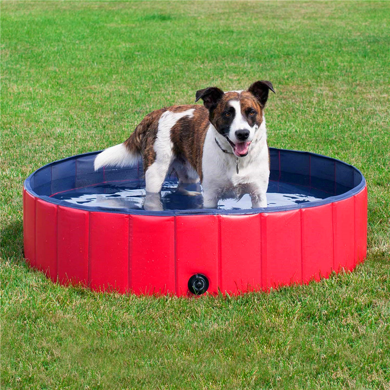 Smart1688 - hồ chơi cho thú cưng portable paw pool 80x20cm