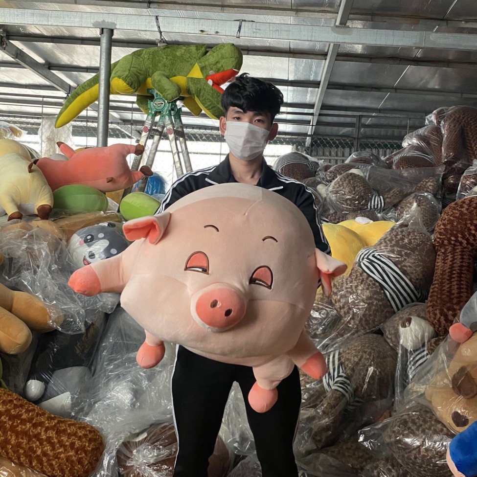 Gấu Bông to Gối Ôm Heo Lợn 75cm - 1m