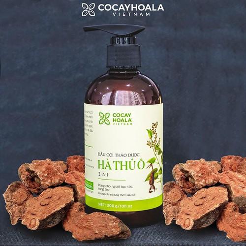 [HCM]Dầu Gội Thảo Dược Hà Thủ Ô Cocayhoala 2in1