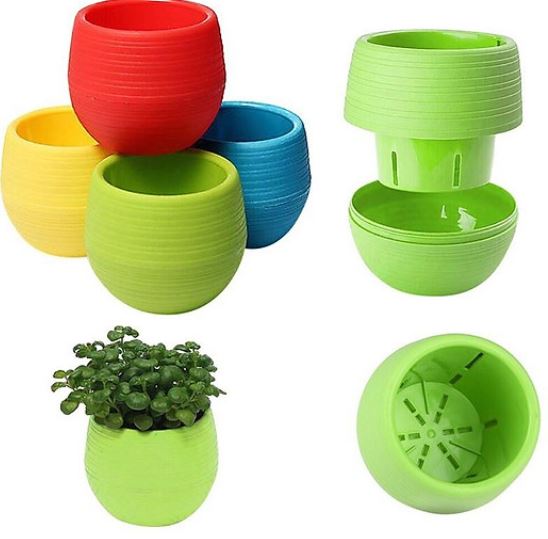 Chậu sen đá mini gồm cây và chậu ( giao cây mẫu bất kỳ)