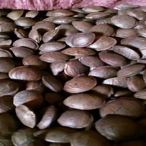 1Kg hạt sachi rang chín ăn liền