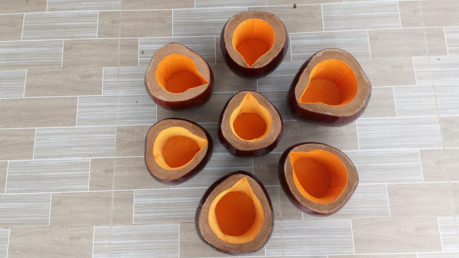 Bình giữ ấm trà bằng trái dừa cỡ vừa (khoảng 600-700ml)