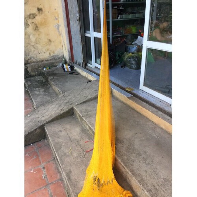 🐋 Chài dù bắt tép cá thái lan 2.5kg bung 5m 🐋