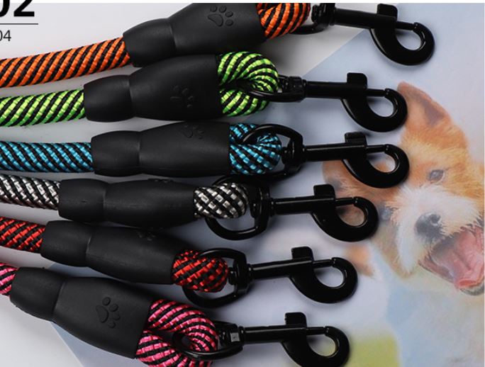 Power-Assisted Leash for Dogs with Large Hooks