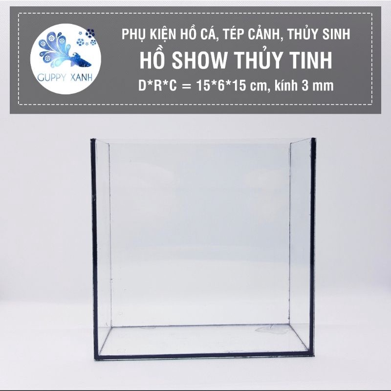 Hồ Show cá Betta & Guppy (Dấu keo) - Bể Cá mini