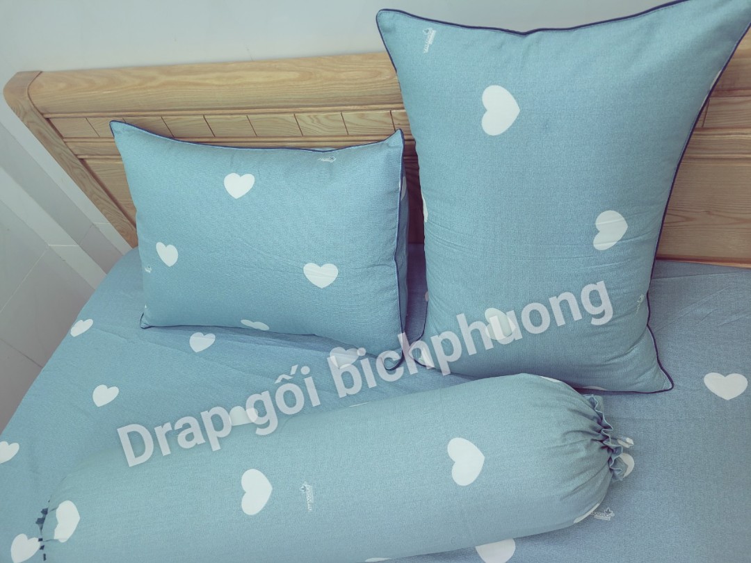 [HCM]Bộ Drap Cotton Thắng Lợi {4 MÓN} đủ size { chuẩn logo]