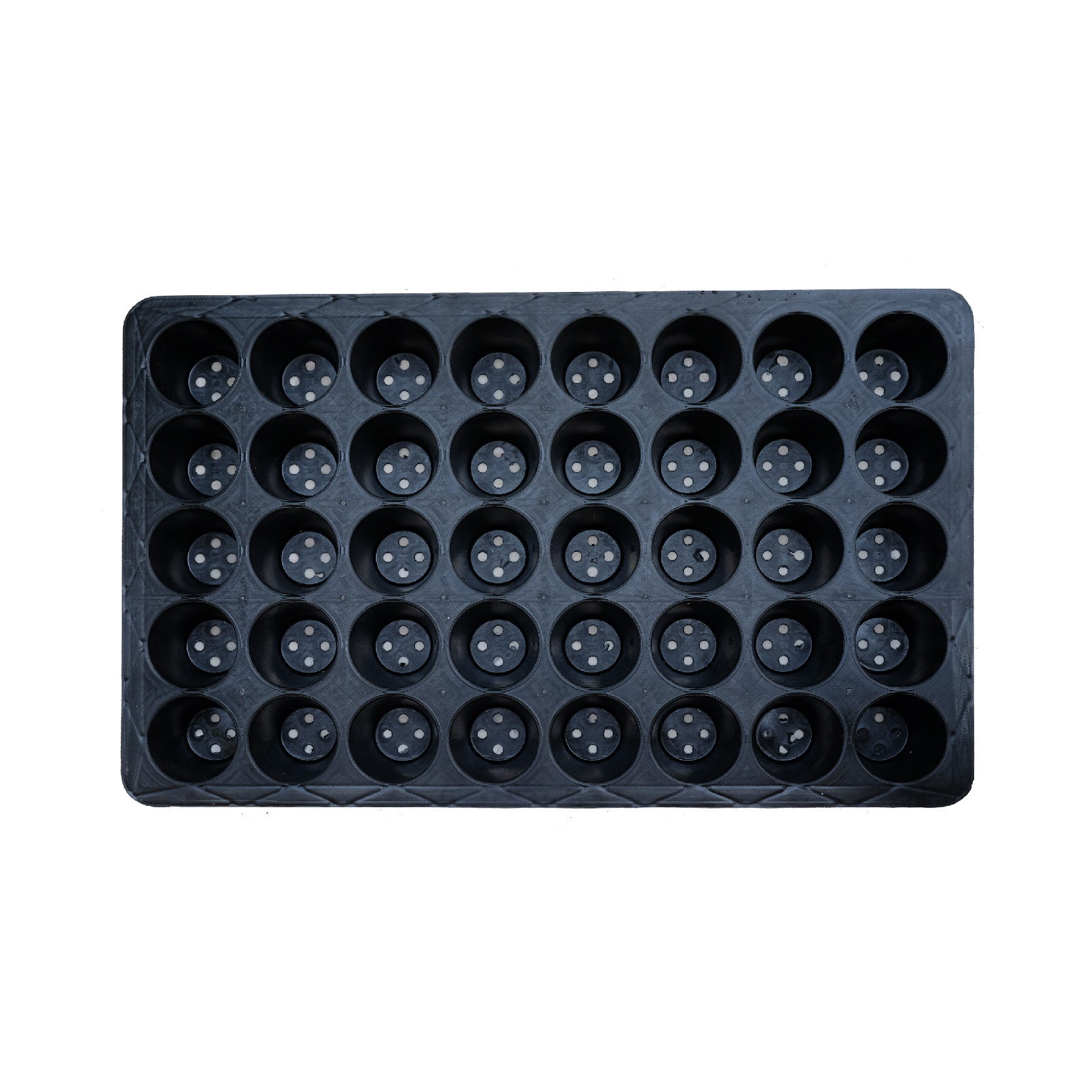 Combo 3 khay ươm cây giống Ecotray 40 lỗ ươm