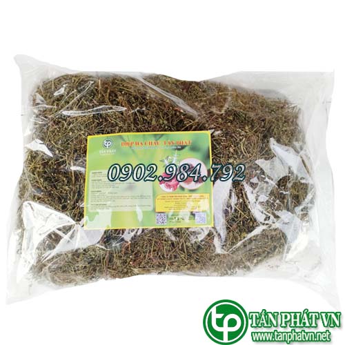 [Túi Lớn 1KG] Diệp hạ châu khô 1kg , Cây chó đẻ khô - Hàng khô cao cấp chuyên dùng để pha trà - Hỗ trợ thanh nhiệt và giải độc
