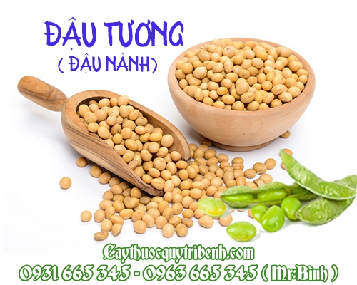 Đậu tương khô 1kg- đông y thanh bình