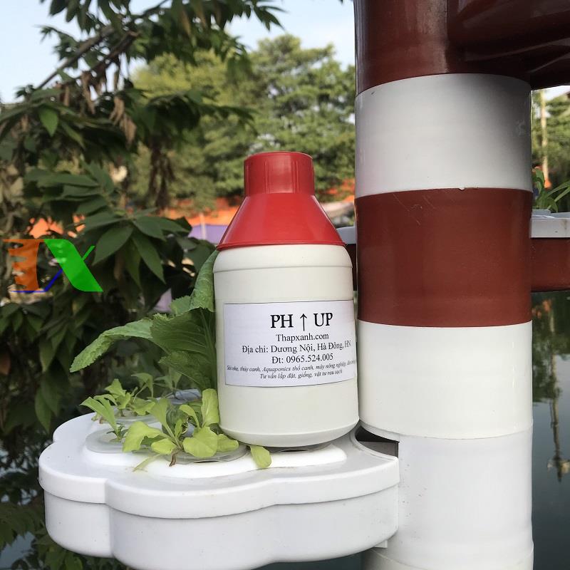Solution increase the pH phu-500 ML, pH Up, regulating align the pH of the water