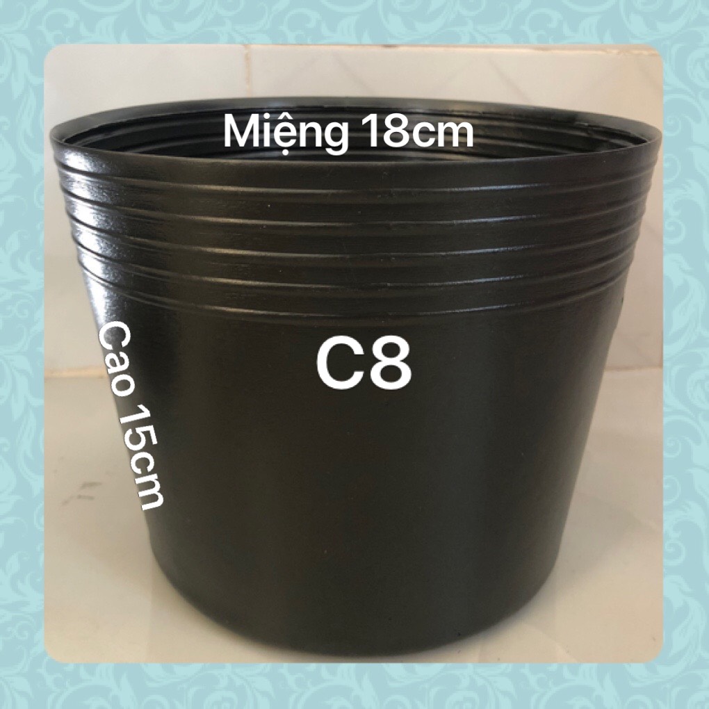 Chậu nhựa trồng cây 100 cái C8 đen