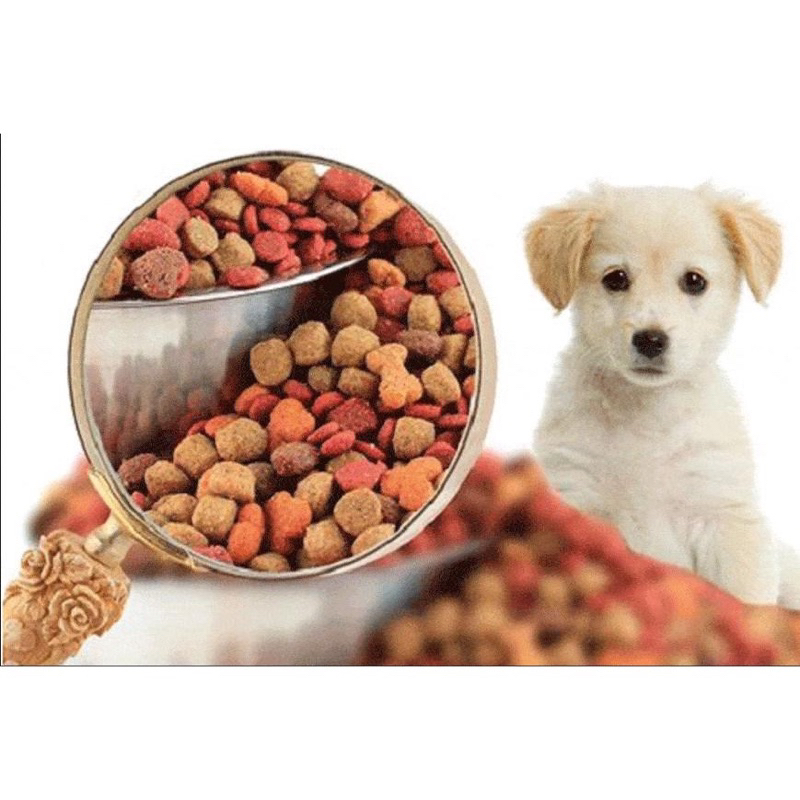 (500G)Thức ăn chó Hạt Apro IQ Xanh 500g dành cho chó mọi lứa tuổi