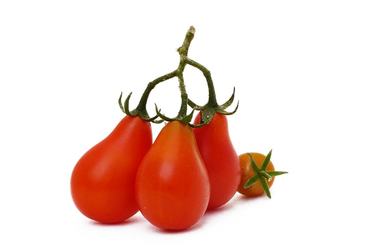 Hạt Giống Cà Chua Quả Lê Đỏ Chịu Nhiệt, Năng Suất Cao (Gói 0.1 gam ~ 100 hạt)