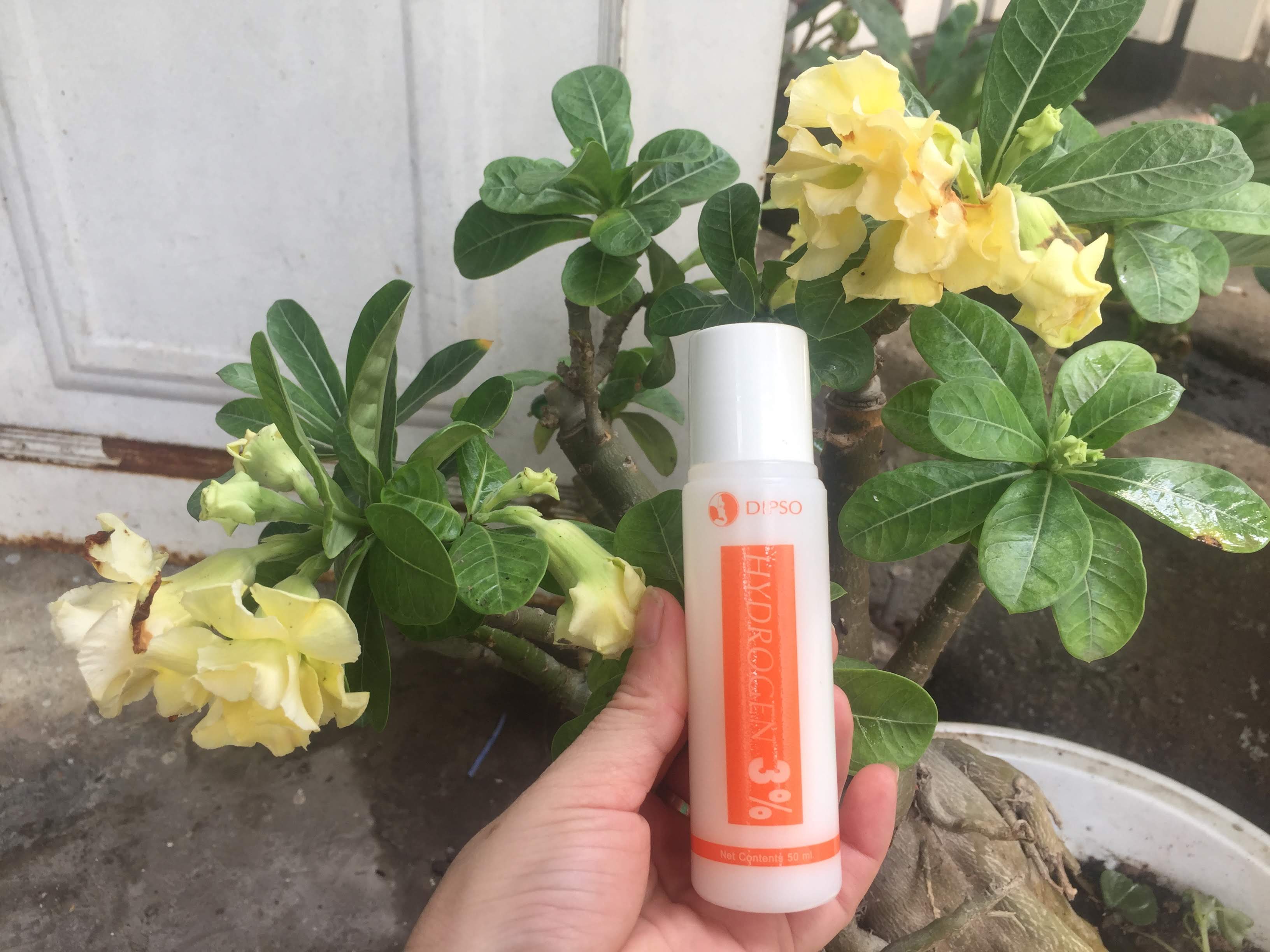 Sét tắm trắng da từ thiên nhiên DIPSO Thái Lan 90 ml