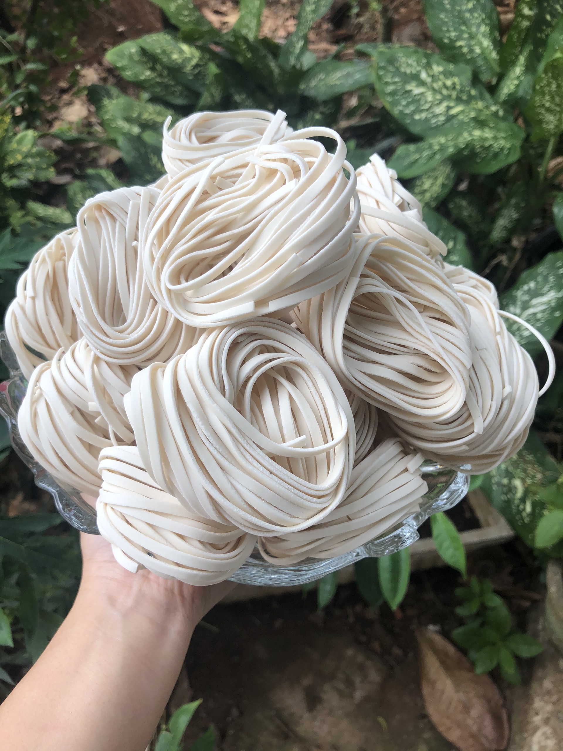 BÁNH CANH KHÔ HUẾ ĐỨC HẠNH 1KG