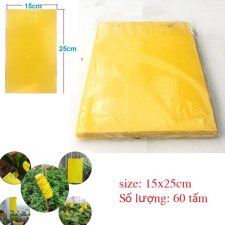 Set 60 miếng dán bẫy côn trùng, ruồi vàng kích thước 15cmx25cm