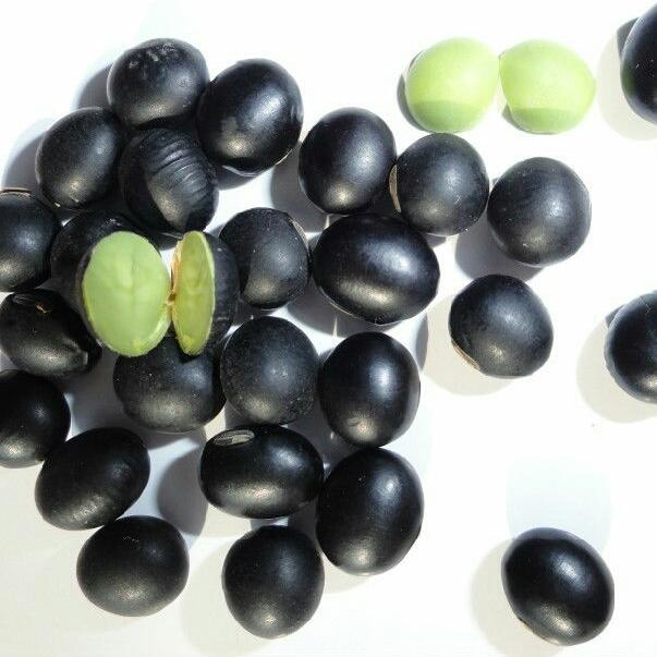 1kg hạt đỗ đen xanh lòng